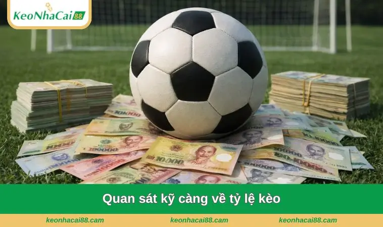 quan sat ky cang ve ty le keo Quan sát kỹ càng về tỷ lệ kèo