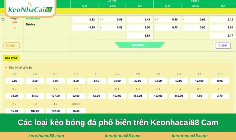 Các loại kèo bóng đá phổ biến trên Keonhacai88 cam