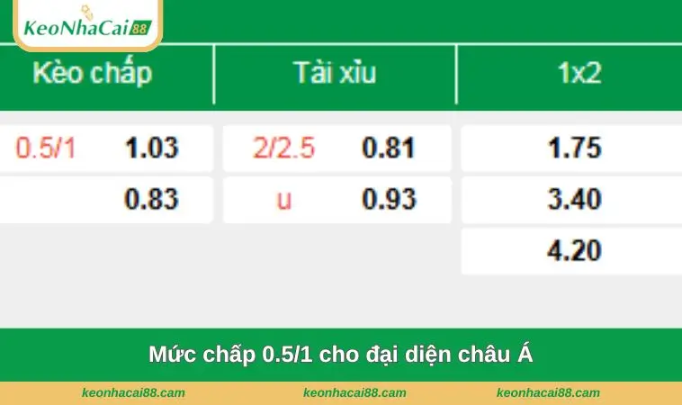 Mức chấp 0.5/1 cho đại diện châu Á
